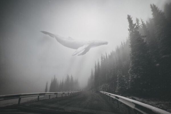 ResilientWaysFndn tweet media