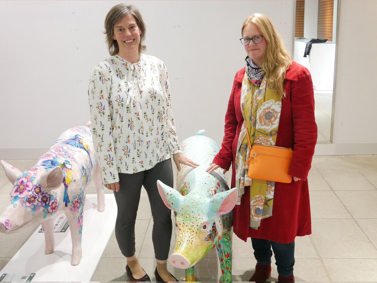 smhbasingstoke's tweet photo. Our beauties have raised over £3k & are off their new homes 😍 FlowerPowerPig was bought by @ZoeMcLaren73 but did you get one of our others? 👏👏👏👏 to the fabulous artists Rachel Davis, Samantha Emmons, Catherine Knighton and @bcot students #HantsHogs #BasingstokeFinest https://t.co/AgAktk4G2Y