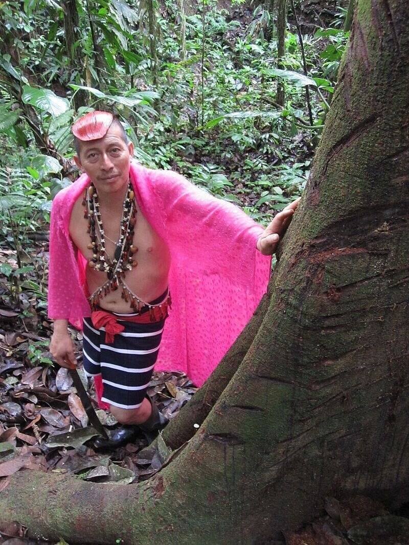 Learn From Travel tweet media