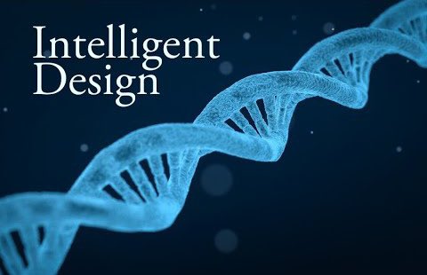 هل نظرية التصميم الذكي نظرية علمية أم هي علم زائف؟ 

🔻سلسلة تغريدات 🔺 https://t.co/iF3xwnAl0p