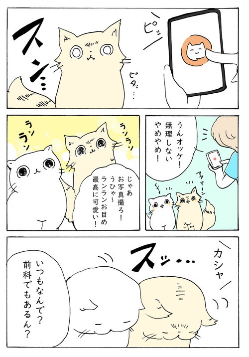 ネコ語翻訳アプリを愛猫に試そうとしたら…… 切ないネコあるあるを描いた漫画にうなずきが止まらない https://t.co/iQd3FsQQLn @itm_nlabより 