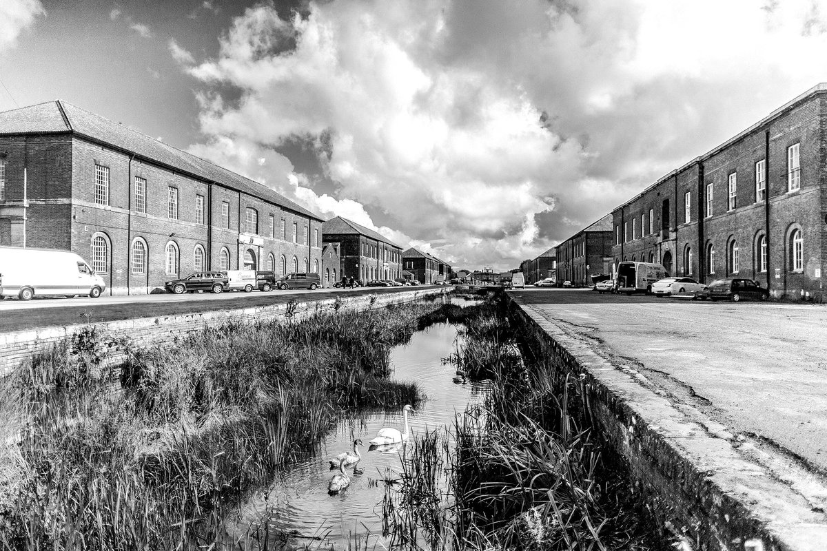 The Depot tweet media