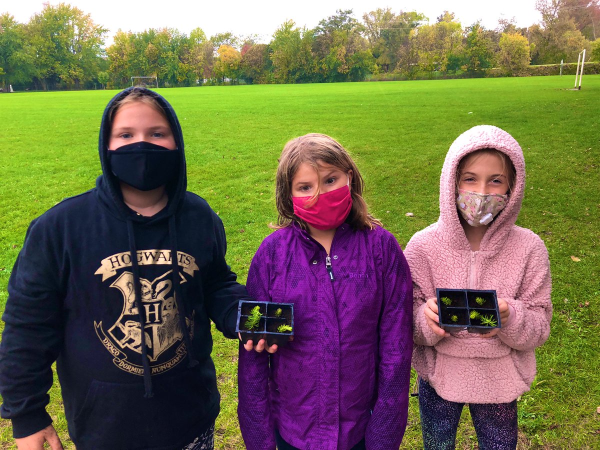 MrKSDyck's tweet photo. Grade 6/7s @PortWellerPS #Outside #Planting cuttings from two #Sedum #Stonecrop #Plants: Lemon Ball (Sedum rupestre) &amp; Needle/Carpet Sedum (Sedum lineare). #TakeMeOutsideWeek #Rain #Biodiversity #Science #InteractionsInTheEnvironment @takemeoutside @ColleenFast1 @DSBNOutdoorED https://t.co/v1KVY5TVzS