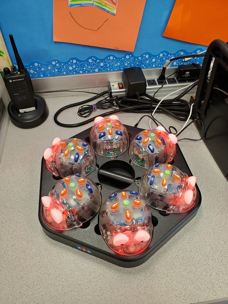PSDCrawleyLk's tweet photo. Looking forward to coding with my Kinders! @TerrapinBots @PSDBedminster #kindergartencoding https://t.co/nhGPeibGO9