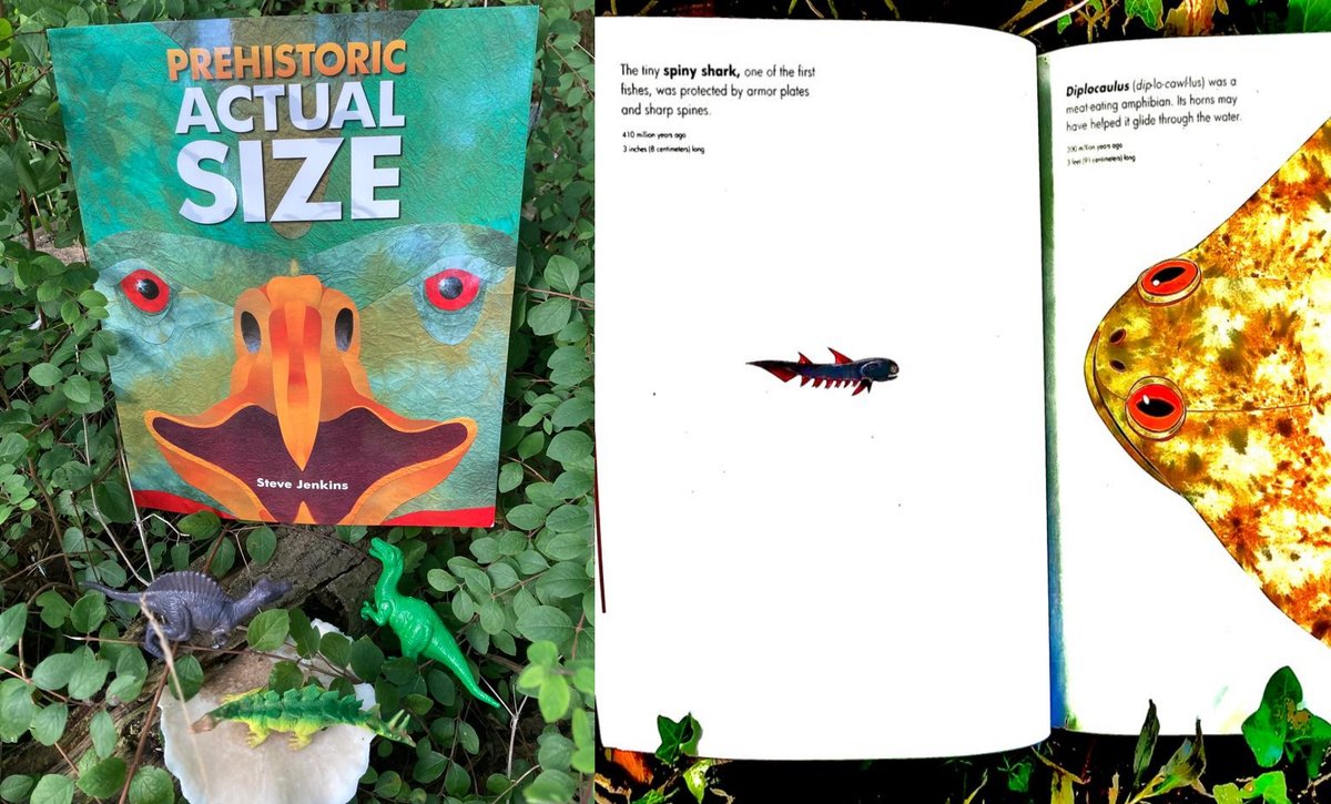 ThatsElementary's tweet photo. We had a #ROOOAAAARRRING #Prehistoric #time #Reading about #dinosours in the #woods #PrehistoricActualSize by #SteveJenkins https://t.co/OAzuLkdmDw Big #imaginations with #dinosaur #SmallWorldPlay &amp; #Clay #fossils🦖 &amp; Dino #yoga with #AndrewSealy https://t.co/zNY0UrYGsD https://t.co/Sq4QM7Cn0j