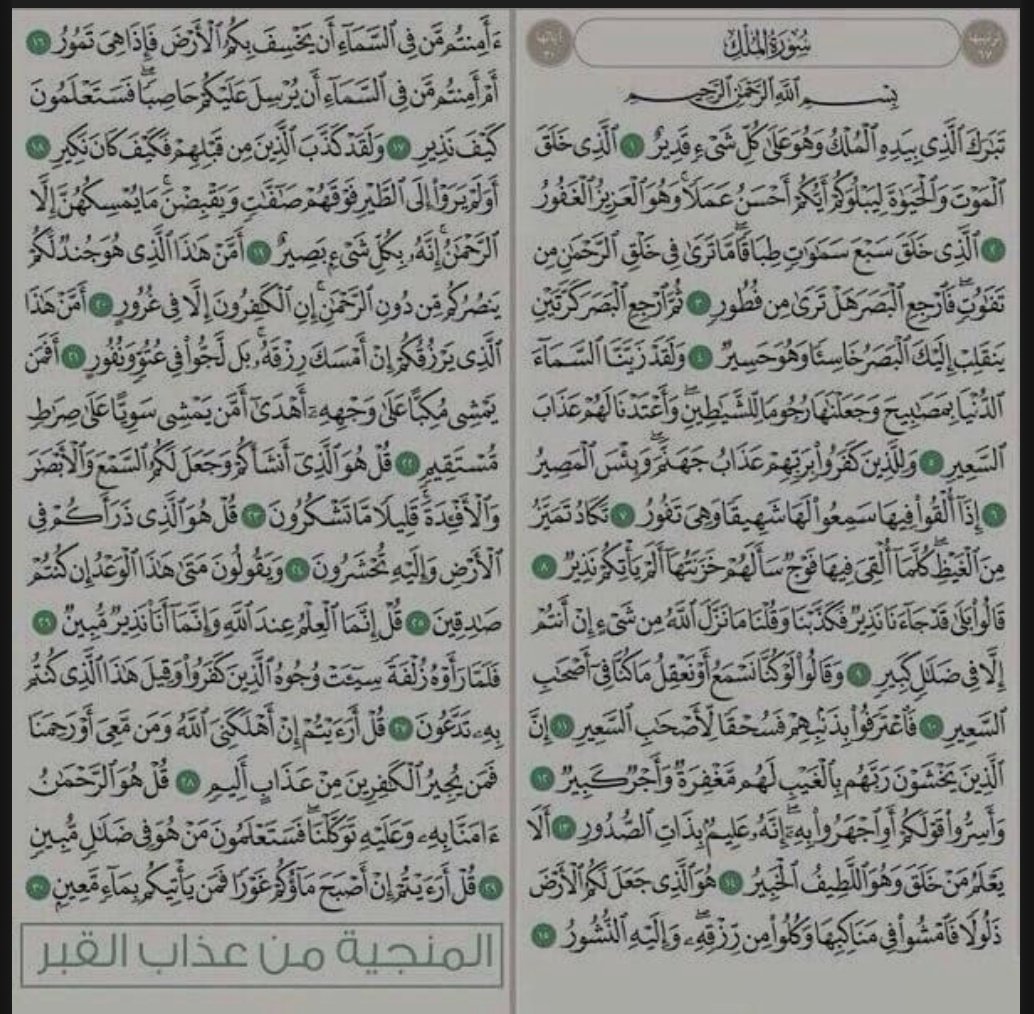 غزيّل 🇸🇦 tweet media