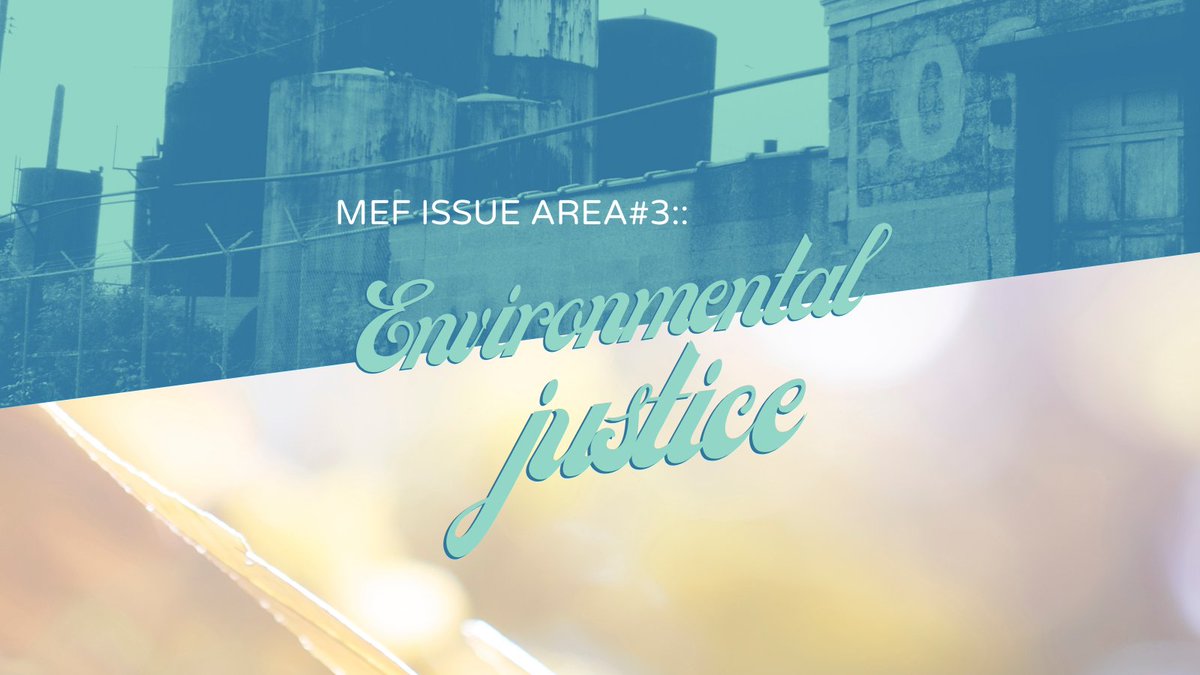 The color of your skin and income of your family can determine your exposures to pollution and the negative effects of climate change. MEF members are working to change this. Learn which organizations are doing the work at mnenvirofund.org