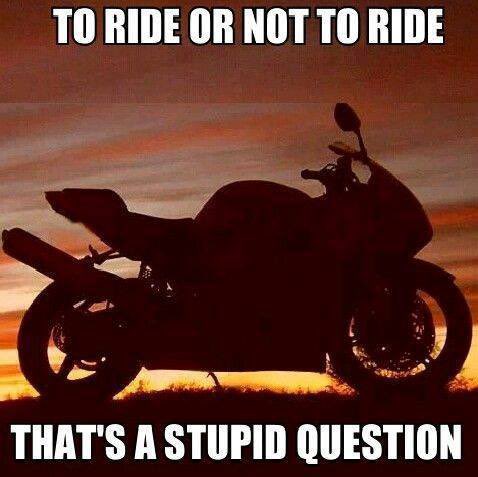 richard s 🏍🎸🏍🤘🥊 tweet media