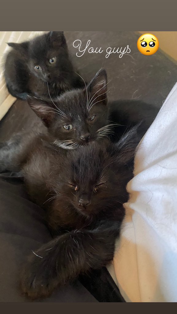 Scenes from fostering