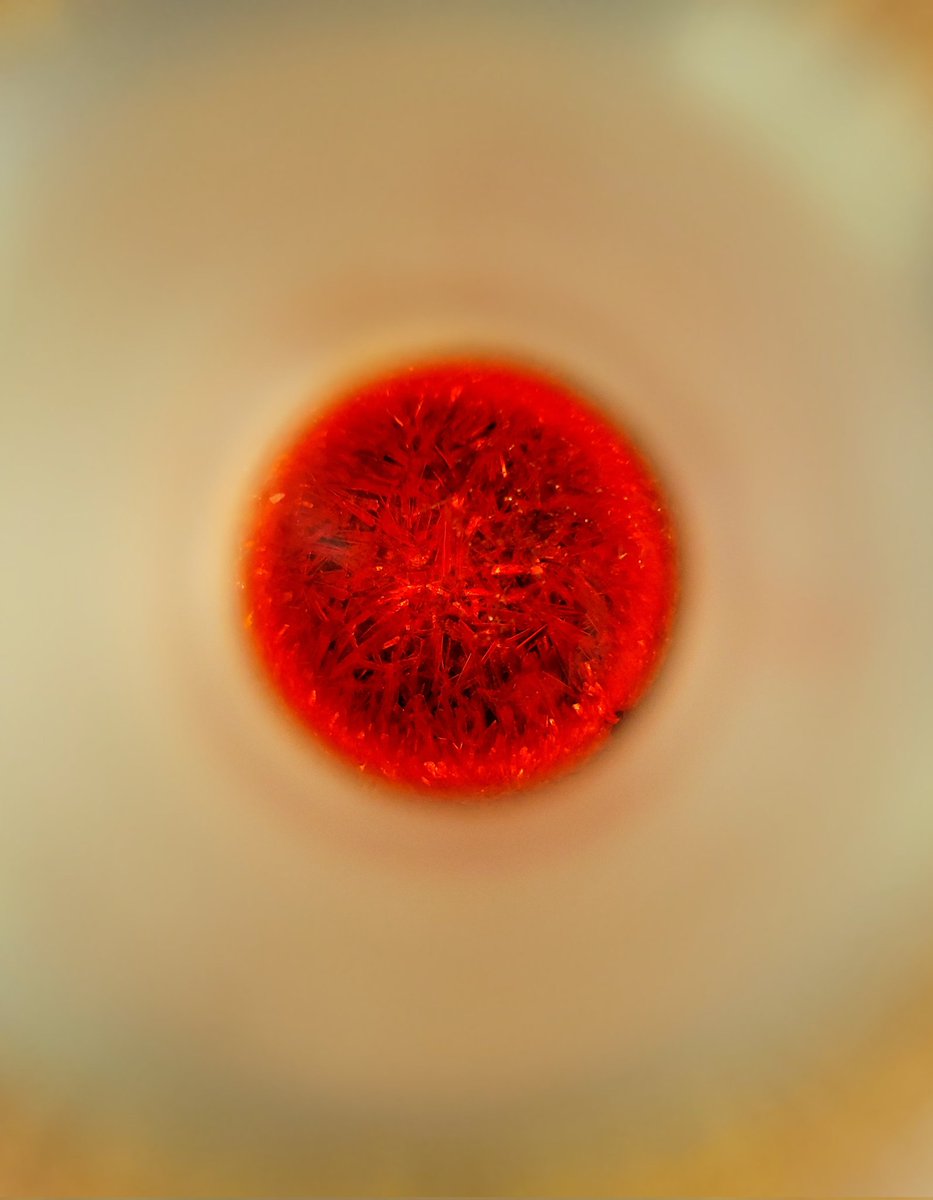 ChengYenPan1's tweet image. The color of fall. The little maple leaves were released from the vial. Fall is coming~
@CastellanoLabUF 

#chemistry #recrystallization