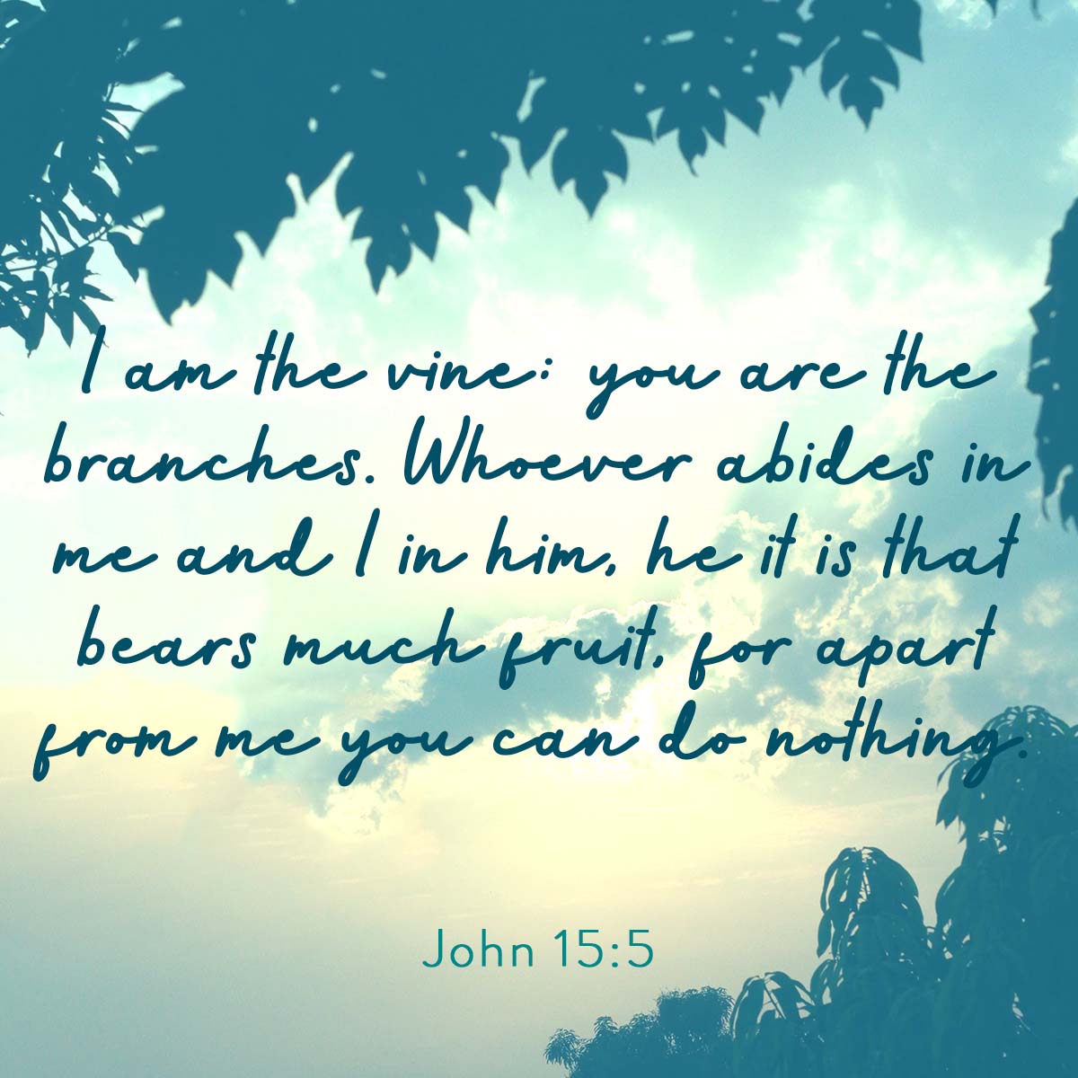 Accessible Hope International tweet media