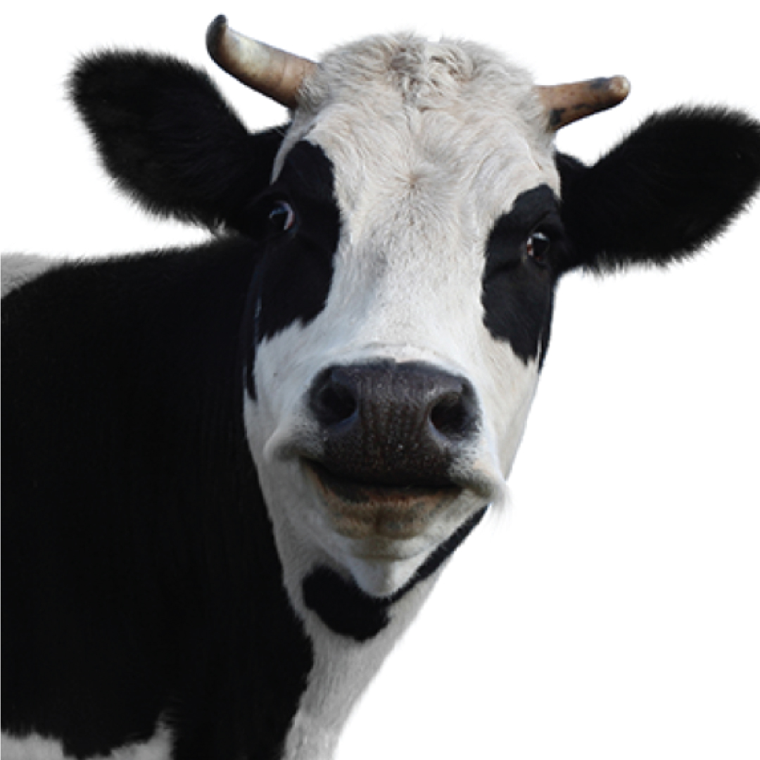 What… you moved me with paper…? Hey, its 2021!

Go digital and avoid the errors 🤓