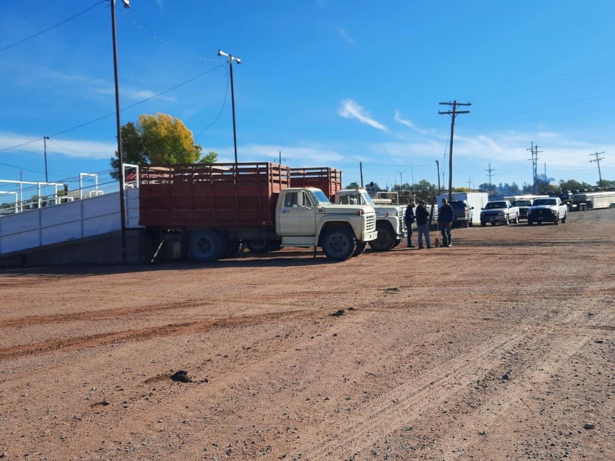 cowbroker's tweet photo. Crawford Livestock got some great pictures of some of our neighbors, still haul their calves to town in 2 ton trucks https://t.co/US2NIG1opD