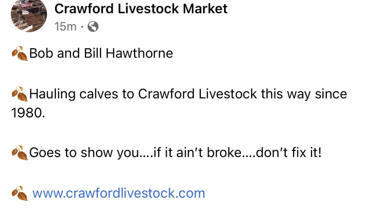 cowbroker's tweet photo. Crawford Livestock got some great pictures of some of our neighbors, still haul their calves to town in 2 ton trucks https://t.co/US2NIG1opD
