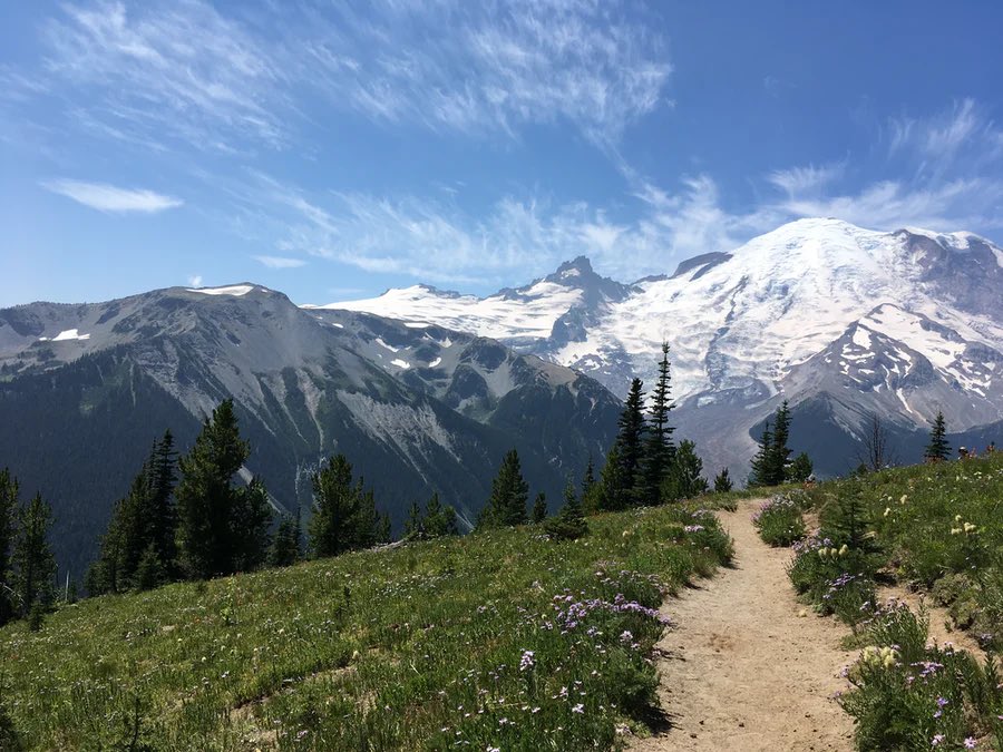 LindaBerman4's tweet photo. Going nowhere … isn’t about turning your back on the world; it’s about stepping away now and then so that you can see the world more clearly and love it more deeply.
Leonard Cohen
#steppingaway #world #seeing https://t.co/0sWHj0pejU