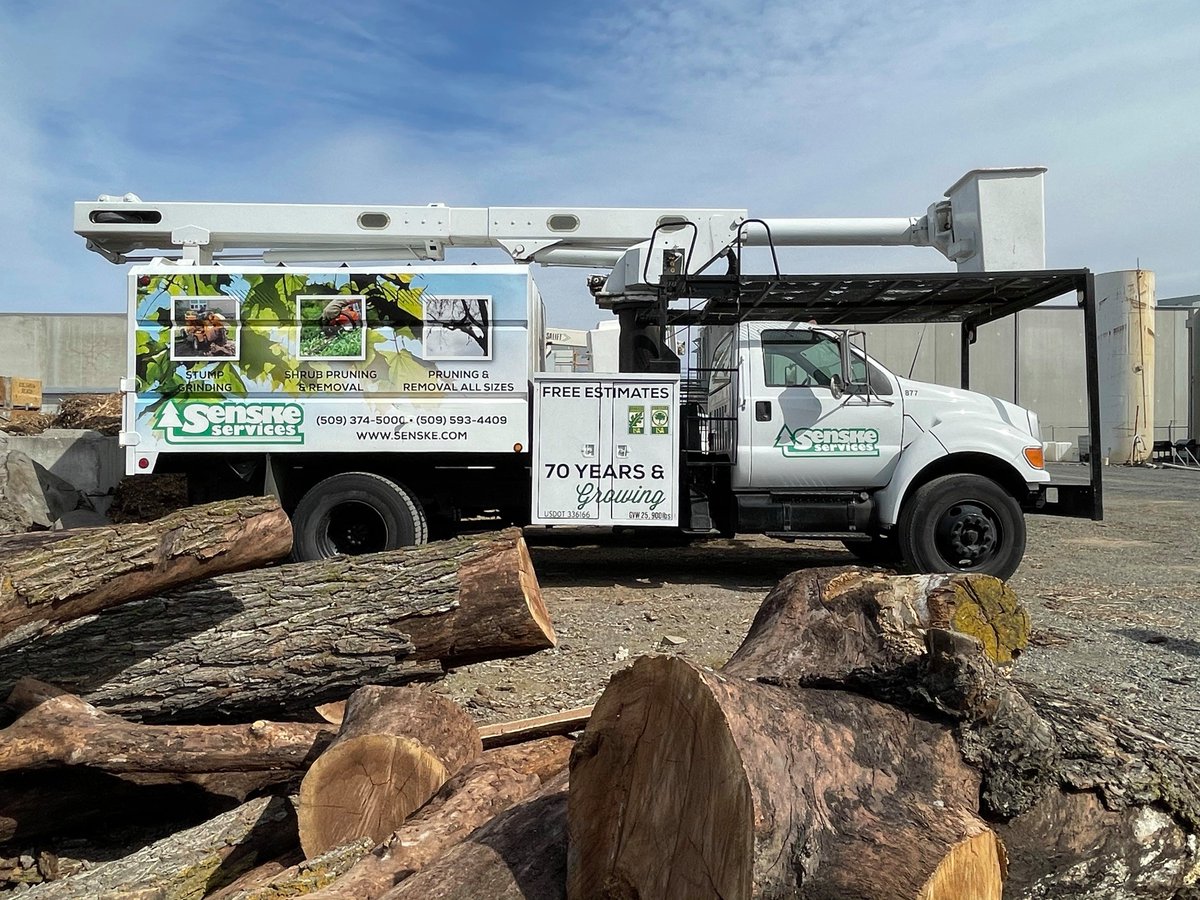 Fall is a great time to prune. 🍂 The leaves are gone and our arborist has a clear view of where corrective pruning may be needed. Trust our ISA-certified arborist to get the job done! 🌳 #senskeservices