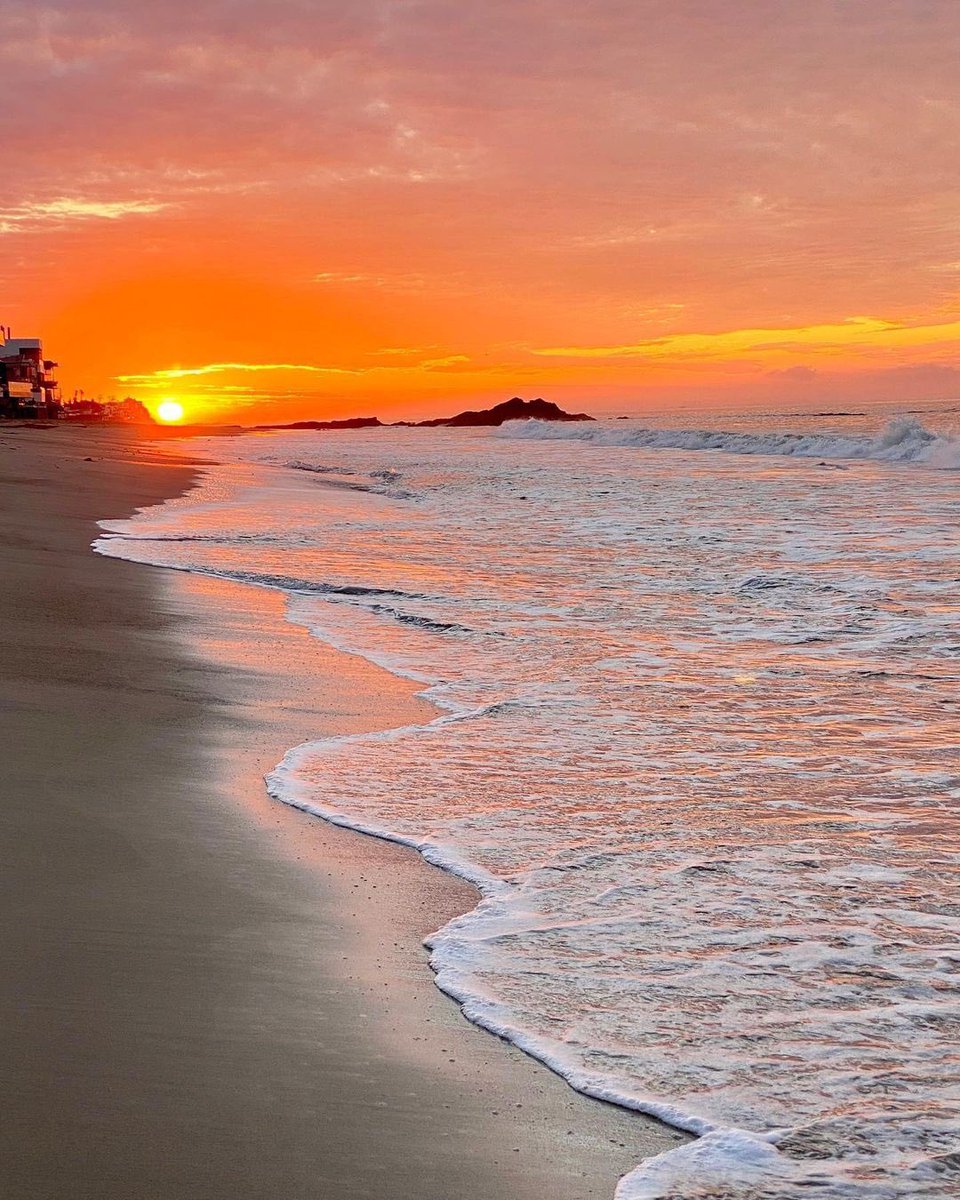 opacarofilia tweet media