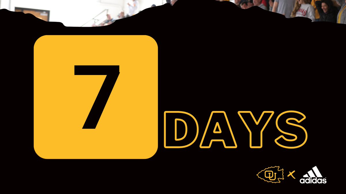 Ottawa MBB tweet media