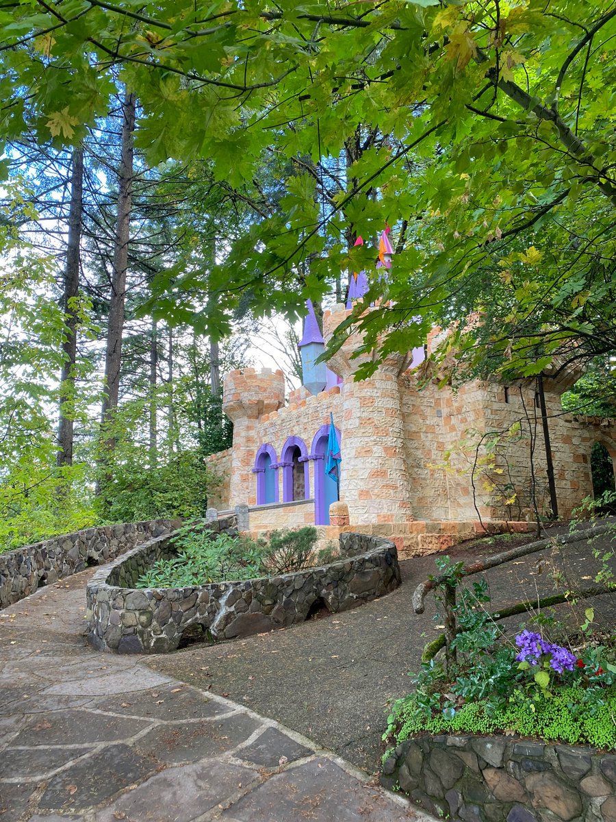 Enchanted Forest tweet media