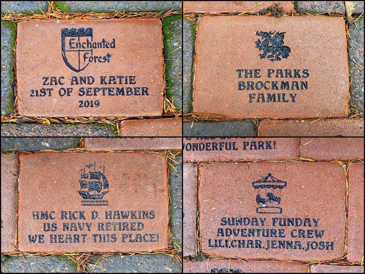 Enchanted Forest tweet media