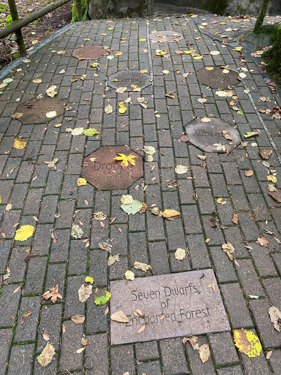 Enchanted Forest tweet media