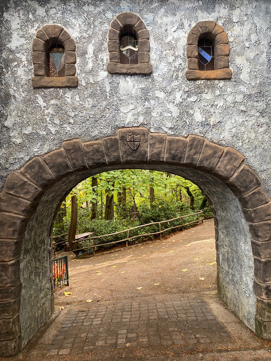 Enchanted Forest tweet media