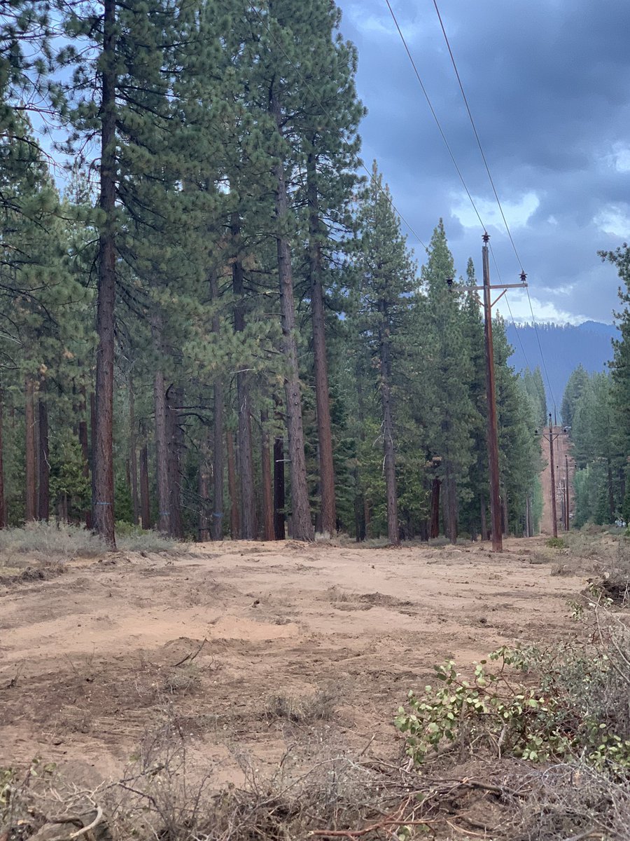 Jeff Cowen (@JeffCowen5) / Posts / X