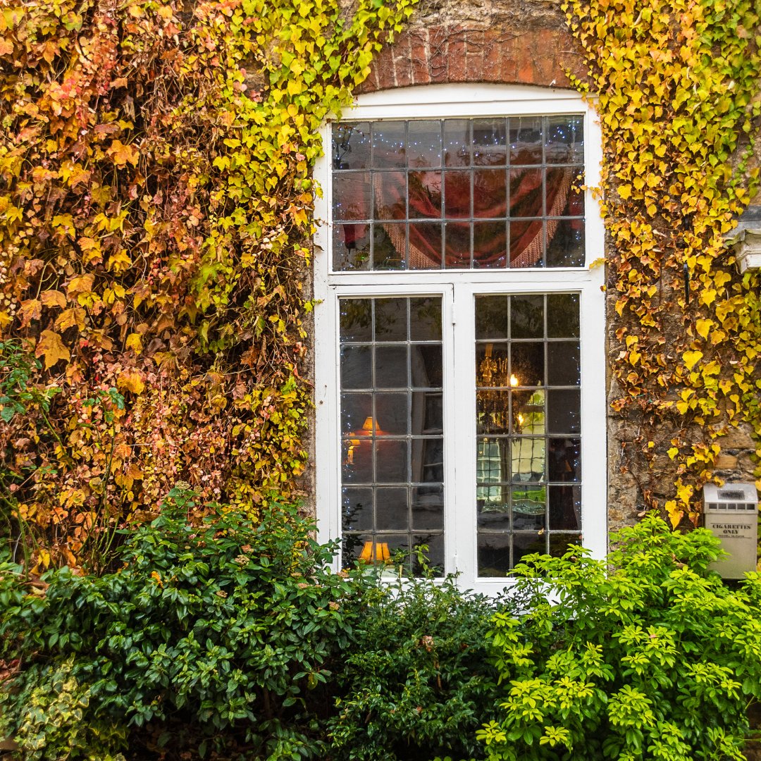 Invisible Glass tweet media