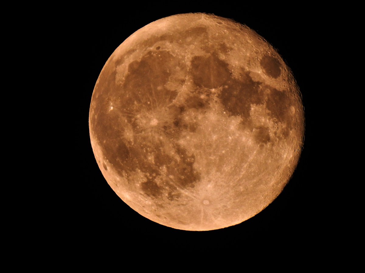 LifeOnSheppey tweet media