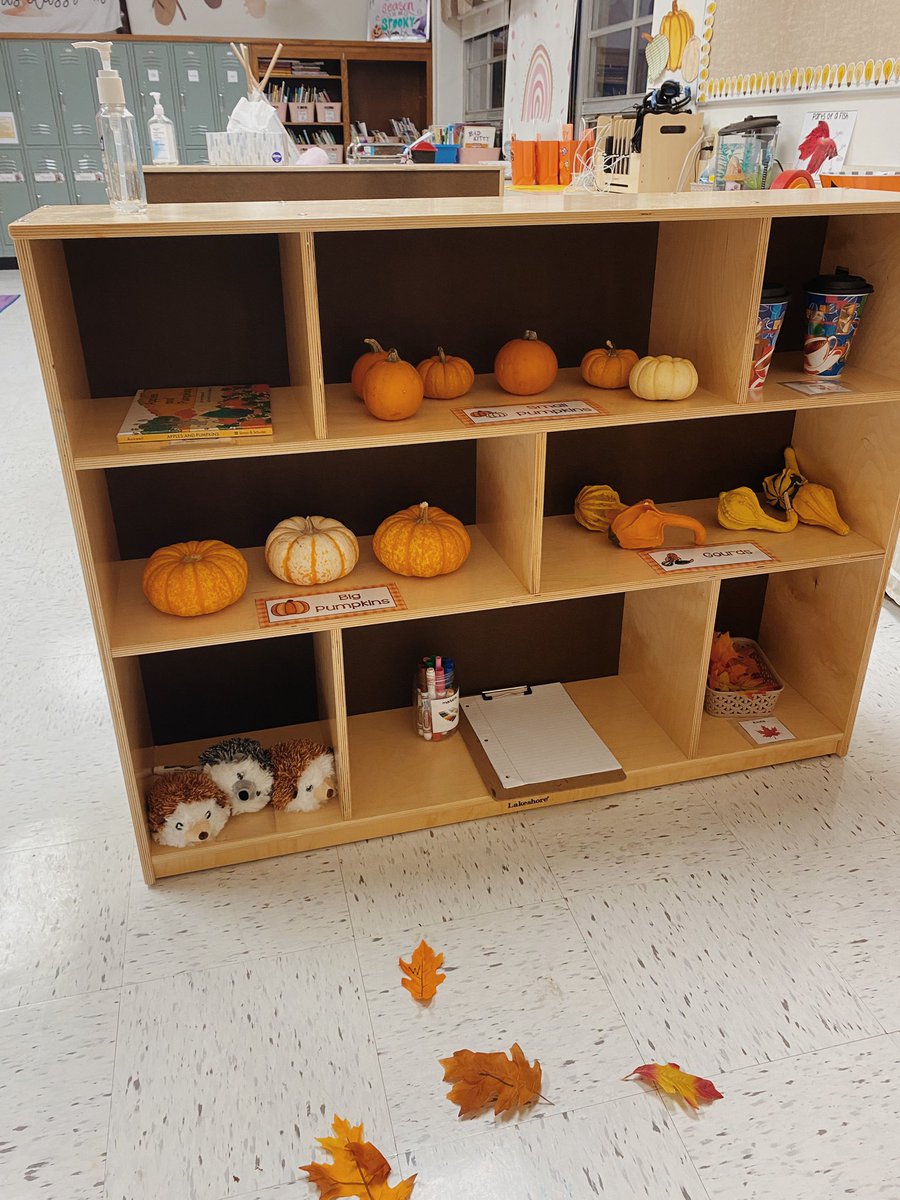 Miss Parker tweet media