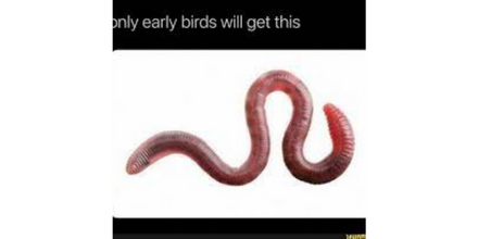 Twd604's tweet photo. Got it? No? Get it now!🤯
https://t.co/slfZSNZJ8u https://t.co/PSWkB99GvZ
