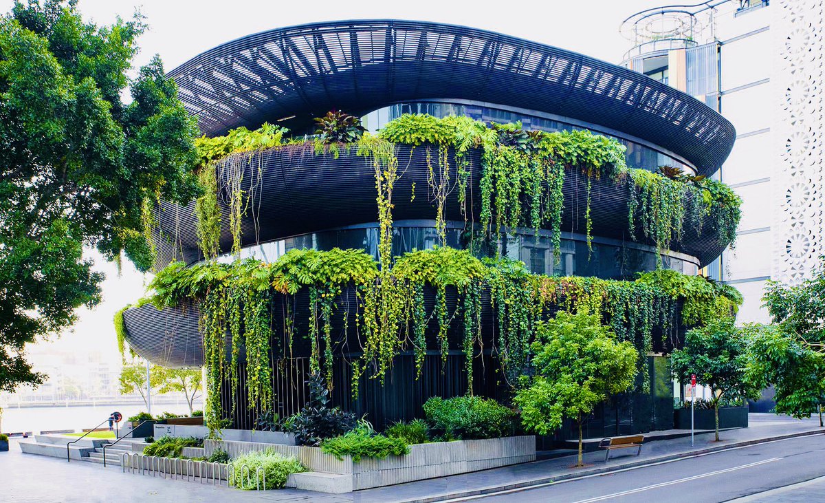 sustbae's tweet photo. Show-stopping Barangaroo House is a three story restaurant in #Sydney #Australia with exemplary and aesthetically pleasing verdant balconies covered in cascading #plants. We need more ecotecture.
#sustainablearchitecture #greenroofs #greenwall #sustainability #architecture https://t.co/klPikrDKXp