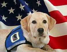IntellectSolut2's tweet photo. Today is National Pets for Veterans Day.

As always, the Intellect team is honored to have many veterans in our company and most importantly we honor our Veterans as often as possible. Enjoy National Pet for Veterans Day!
#veterans #mentalhealth #team https://t.co/8wuIyd68N1