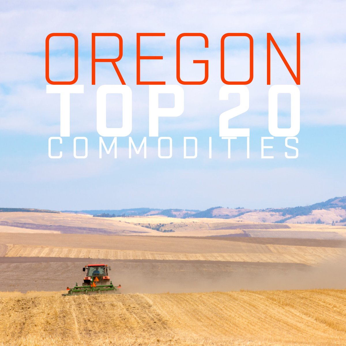 Oregon boasts an impressive 220+ commodities and about $5 billion in annual farm gate sales. @ORagriculture has released a new top 20 commodity list. Nursery is #1, can you guess the other top 5?
beav.es/Uds