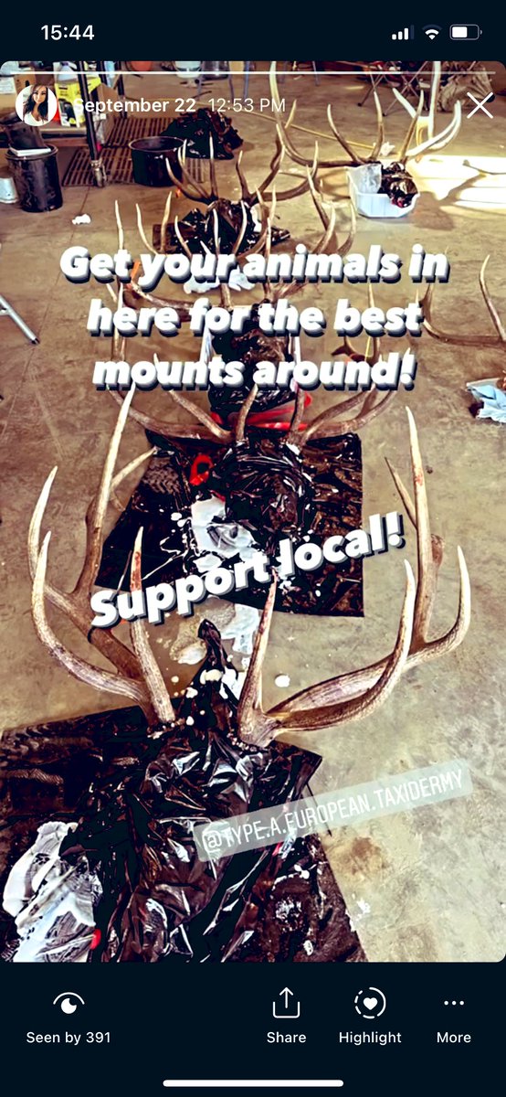 Type A taxidermy Prince Albert! 
Hit em up!