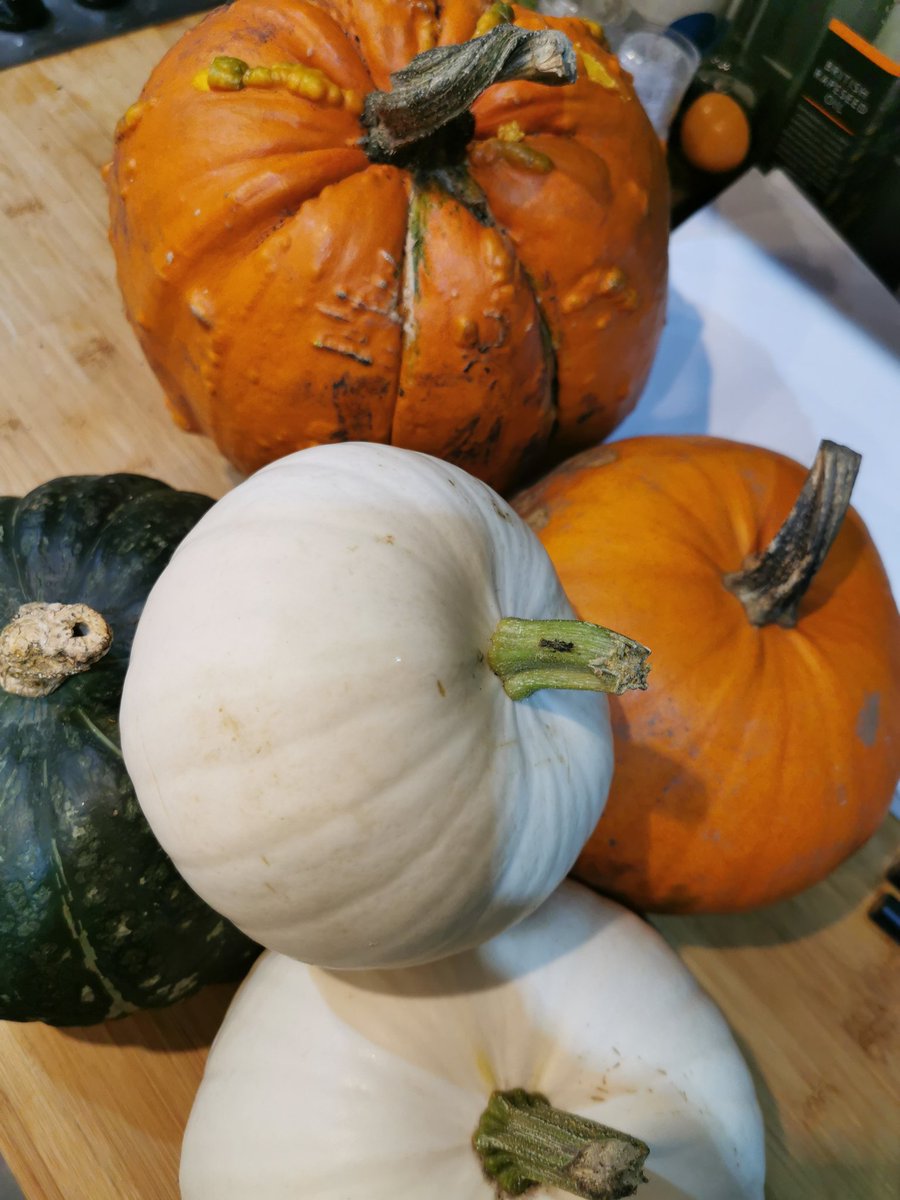 𝐑𝐮𝐭𝐡 tweet media