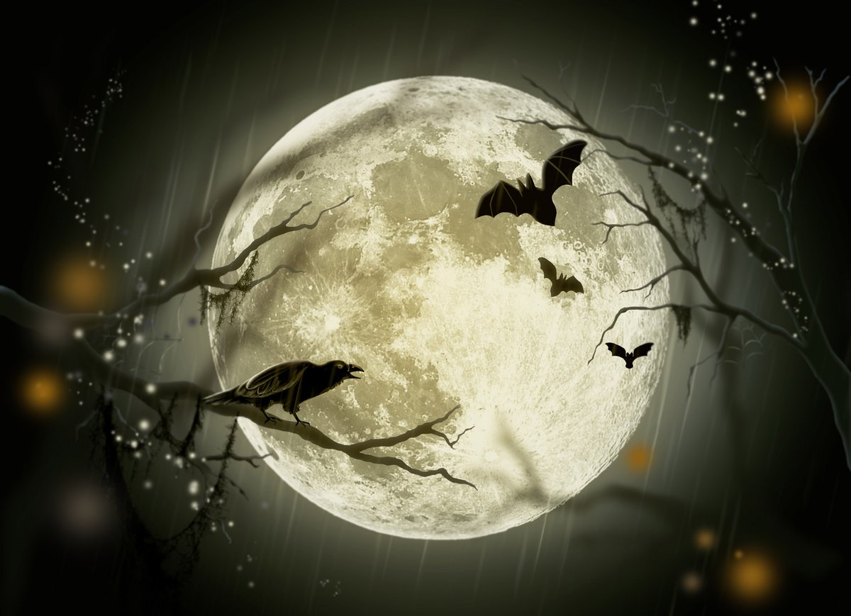 FullOfFallacies's tweet photo. Enjoy FRIGHTENING your friends, family, classmates, coworkers, and acquaintances...?! Let them in on your SECRET that you are only 3-BODIES AWAY from becoming a literal SERIAL KILLER...!!! #Halloween #scary #ShowerThoughts #ThursdayThoughts #horror #serialkiller #joke #viral https://t.co/YOfwJwDysO