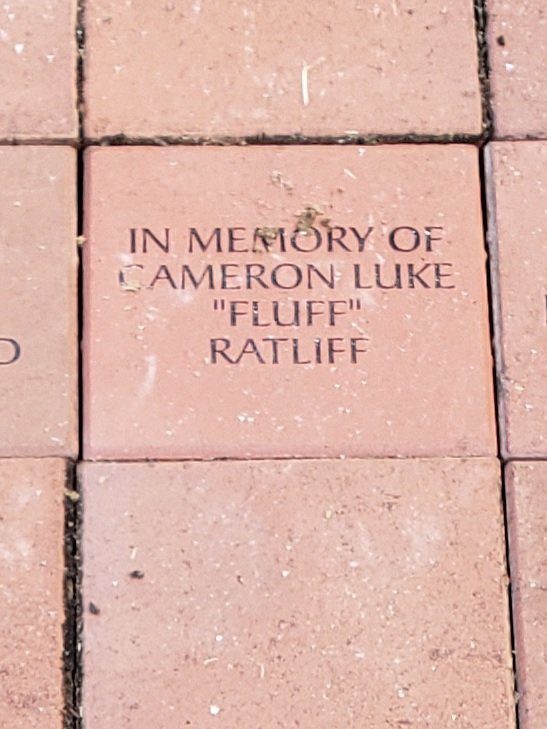 irbransmom's tweet image. Installed today in the promenade. Incredibly grateful yet incredibly sad at the same time.