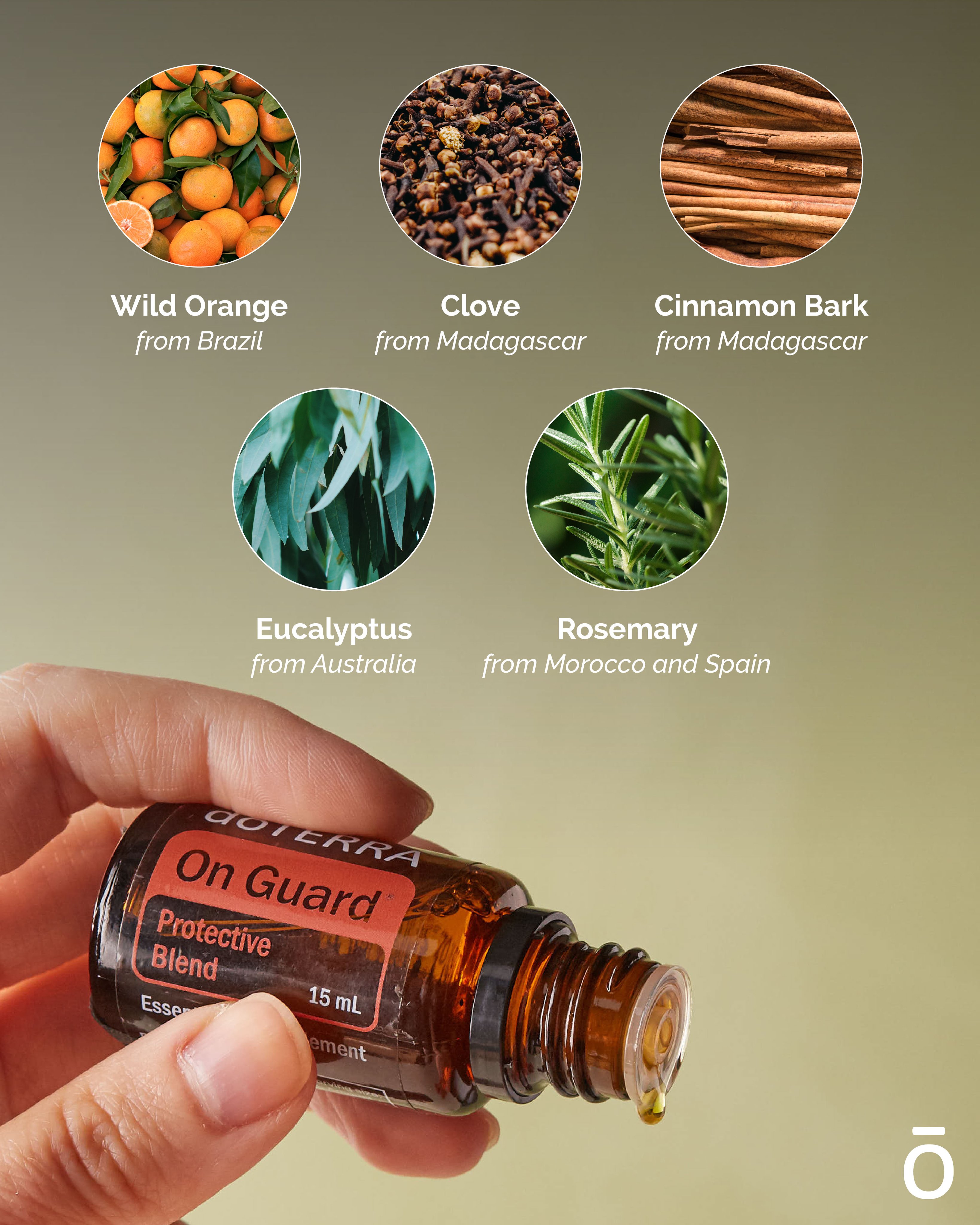dōTERRA Essential Oils USA on X: Where does doTERRA On Guard® come from?  🔍 Learn more at  #onguard #doterra  #doterraessentialoils #sourcing  / X
