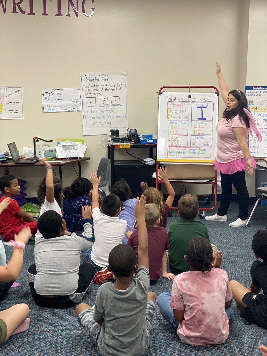 Nina Campbell tweet media