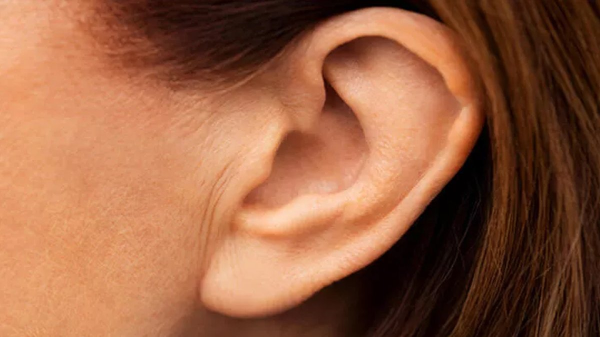 женское ухо. ухо. женское ухо. женские серьги на ушах. серьги на мочку.