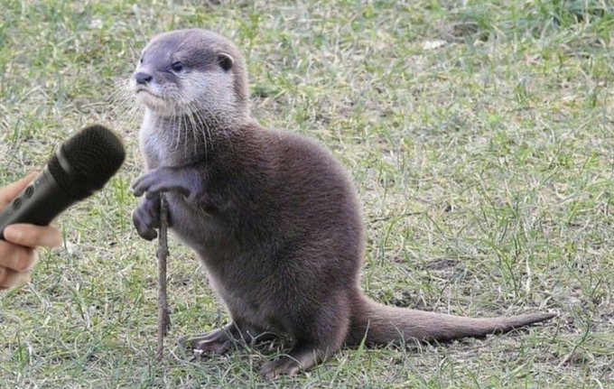 - podemos saber a que se dedica?
- soy nutriacionista