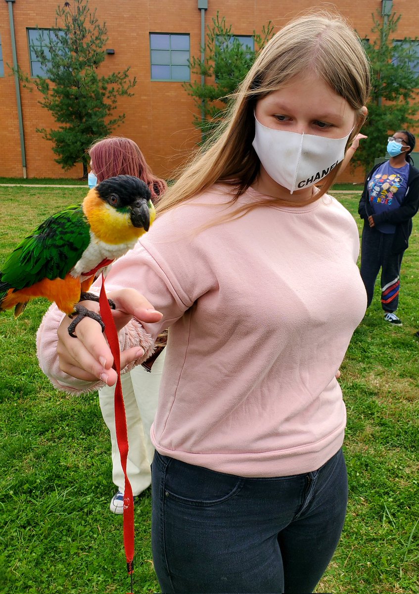 Laura Schuhwerk tweet media