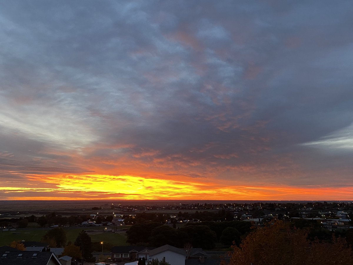 Two_GoofyDogs's tweet photo. Amazing sunrise this morning.  I know because I had a wet nose to the eye socket and a goofy dog that wanted outside…
#letmeoutside #twogoofydogs #lifeisbetterwithdogs
>
#dogs #goldenretriever #doglover #englishcreamgoldenretriever #dogsareamazing #dogsoftwitter #rescuedog https://t.co/Vxy7hGbd0F