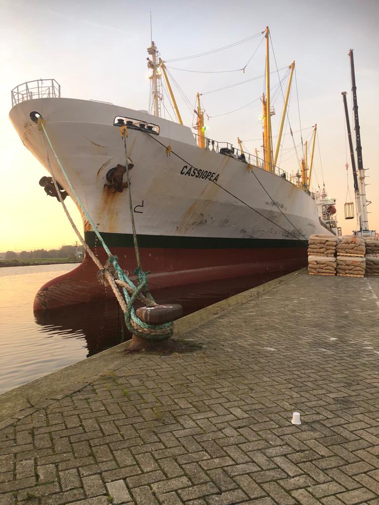 Comptoir du Plant tweet media