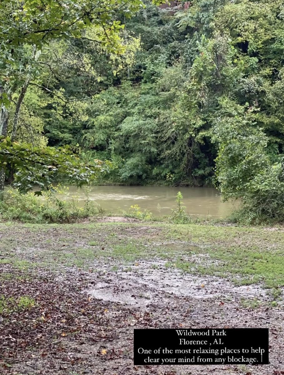 Ryan Stephens tweet media