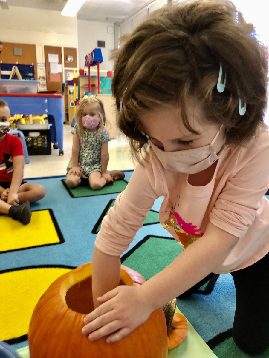 ConnellsCrew's tweet photo. For #ScienceEyes this week we explored the insides of a pumpkin. Some of us loved reaching in &amp; touching the pulp &amp; seeds; others preferred to just take a peek 👀 #ToolsoftheMind @FSDVikings https://t.co/CmaIGO8gvS