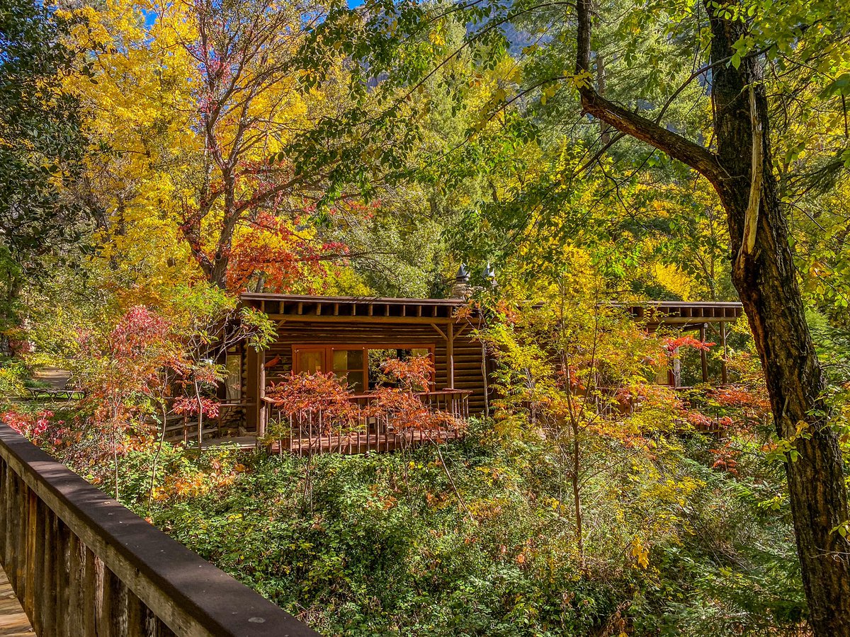 Autumn shows us how beautiful it is to let things go…

#autumnleaves🍂 #sedona #autumnvibes #fallescape #sedonavacation #fall