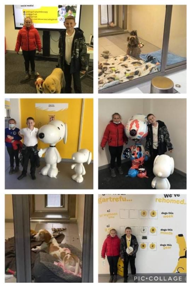 PantsidePS's tweet photo. A Dog's trail with Snoopy Inspiration workshop. It wasn’t supposed to be for children 🤦‍♀️, however you missed a trick with these #AmbitiousCapableLearners  ♥️@DogsTrust @CaerphillyCBC @Snoopy https://t.co/lpo4bPMgLQ