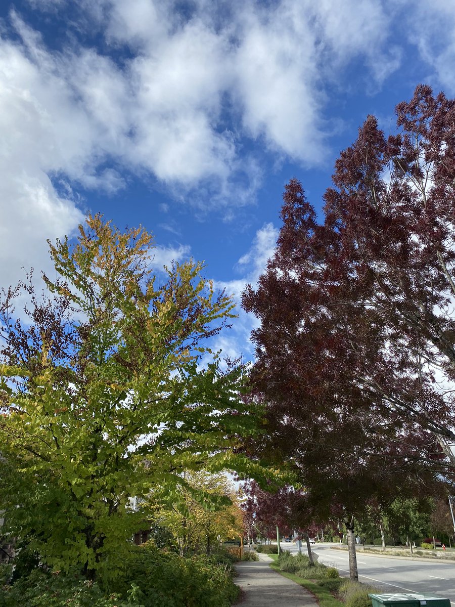 Jackieg16694752's tweet photo. #fall #October https://t.co/VQBBaA8iNY